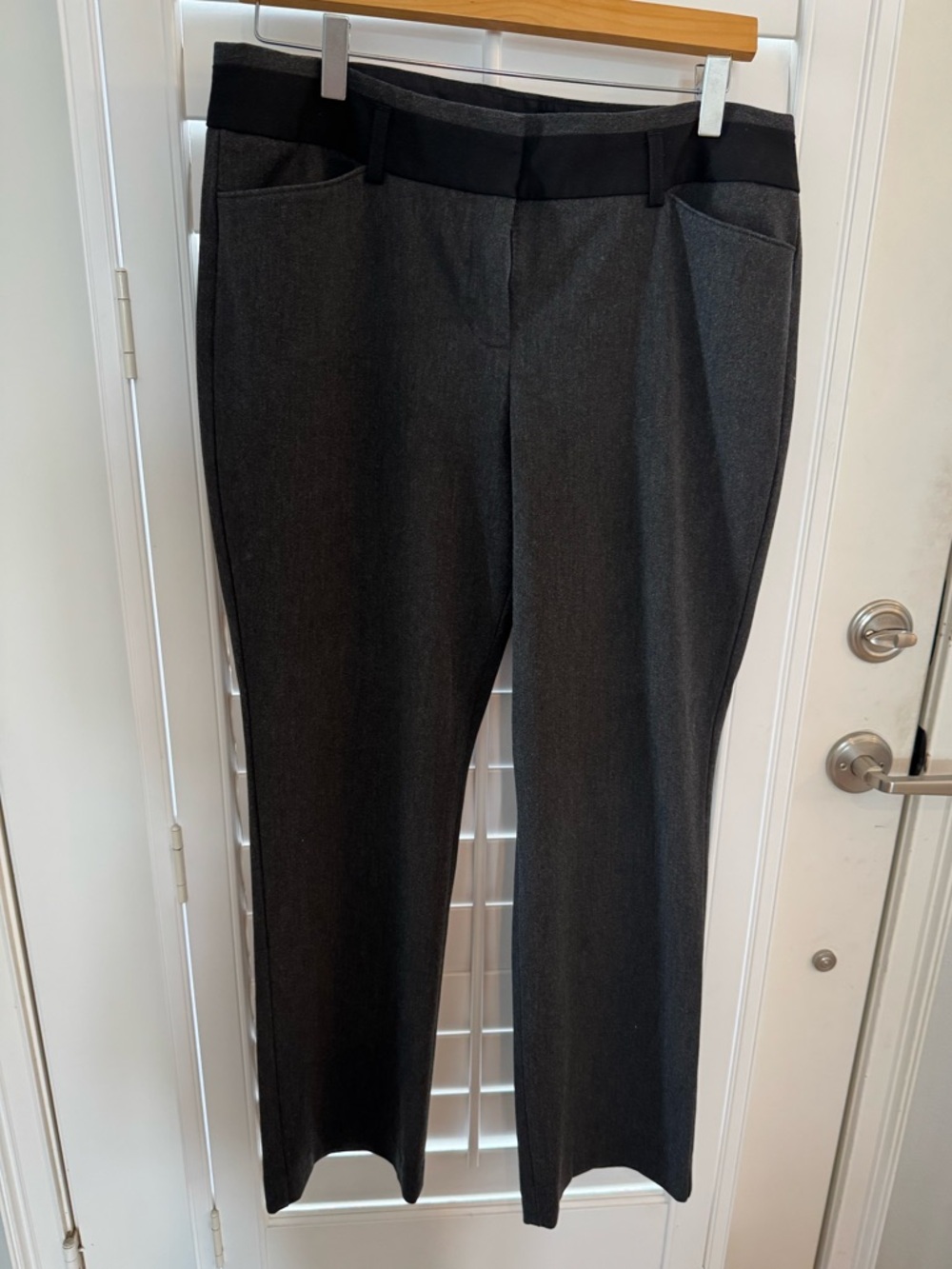 Women’s Express The Editor Pant charcoal gray petite length